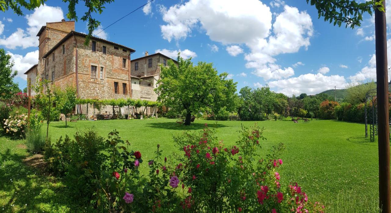 Agriturismo Abbazia Sette Frati A Casa Di Sara Villa Pietrafitta  Buitenkant foto