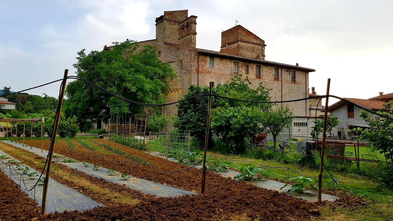 Agriturismo Abbazia Sette Frati A Casa Di Sara Pietrafitta  Buitenkant foto
