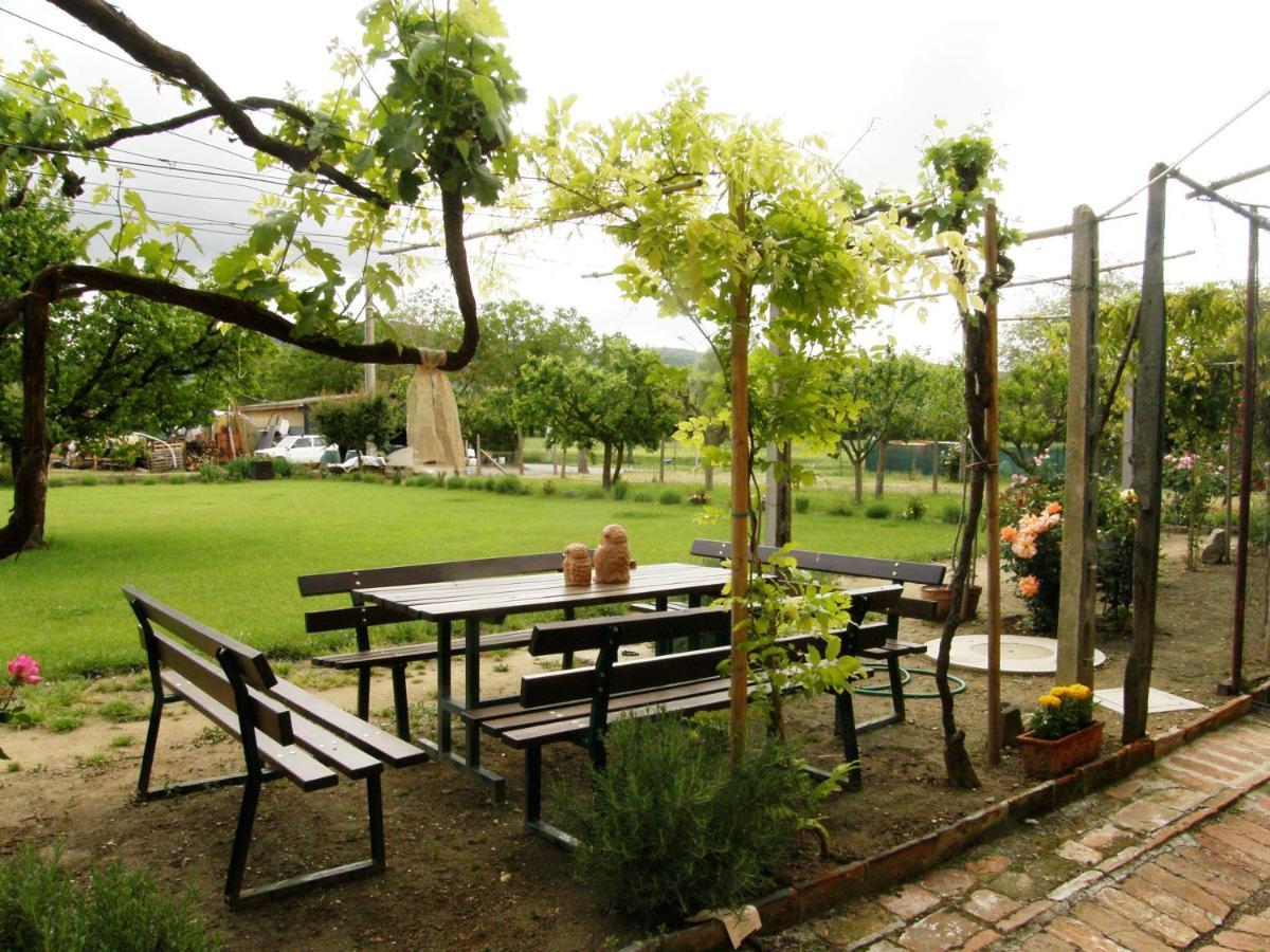 Agriturismo Abbazia Sette Frati A Casa Di Sara Pietrafitta  Buitenkant foto